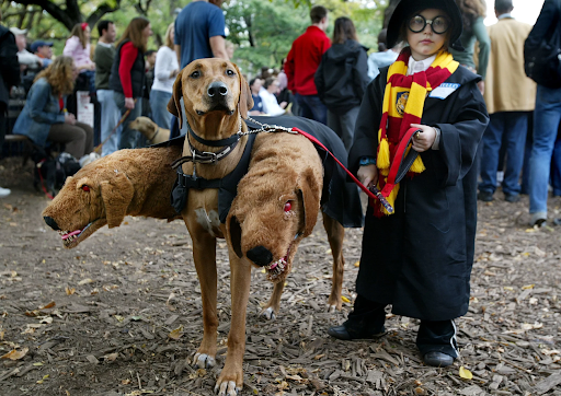 Harry Potter Three Headed Fluffy Dog Costume