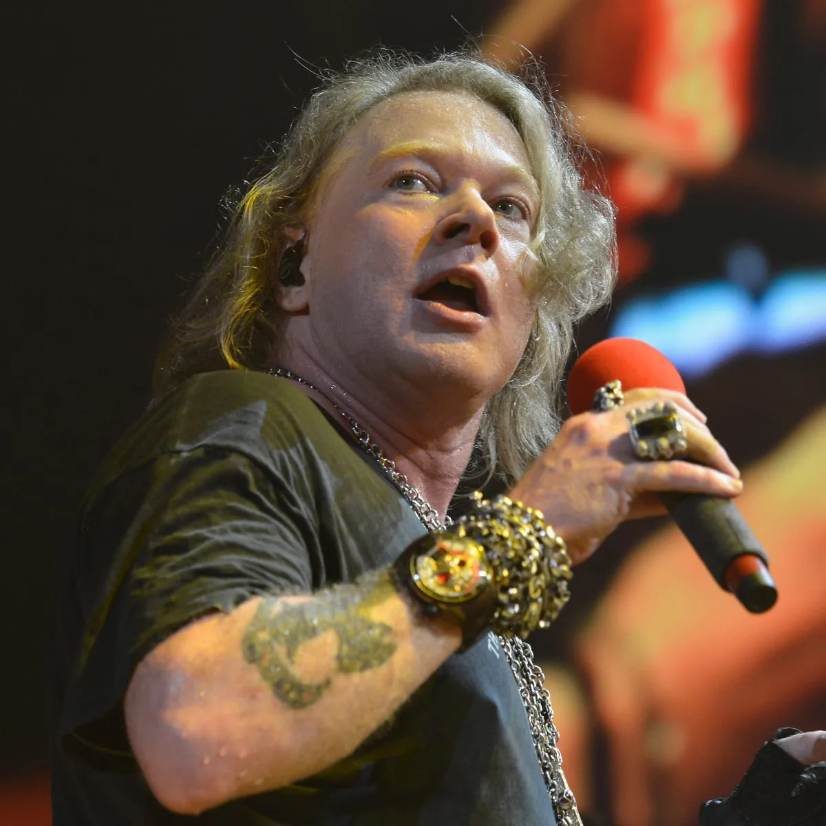 Axl Rose Costume