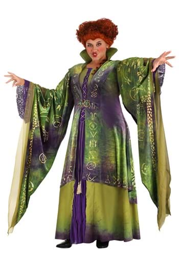23.) Plus Size Womens Hocus Pocus Winifred Sanderson Costume