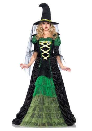 9.) Women's Storybook Witch Costume