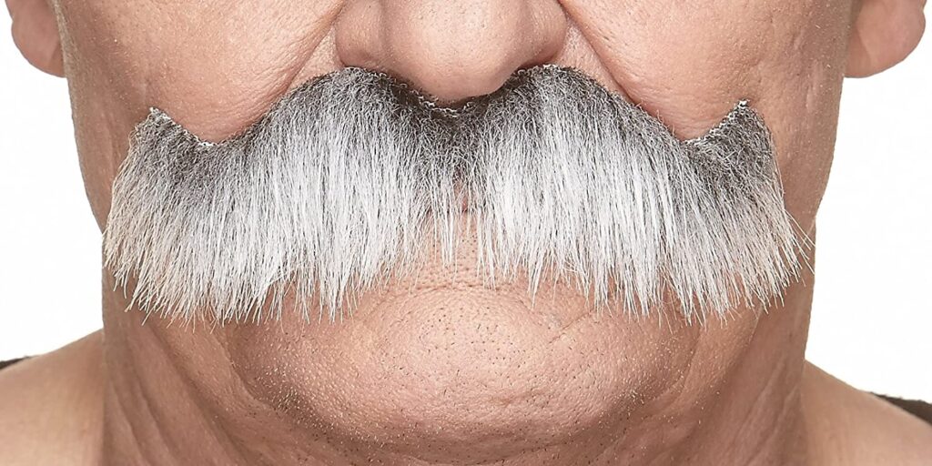 Doug Dimmadome's Mustache