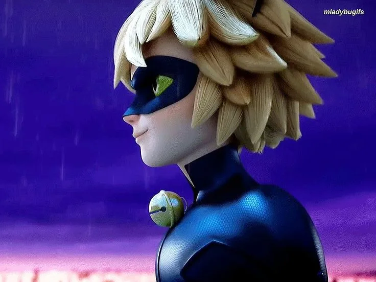 Cat Noir Cosplay Costume