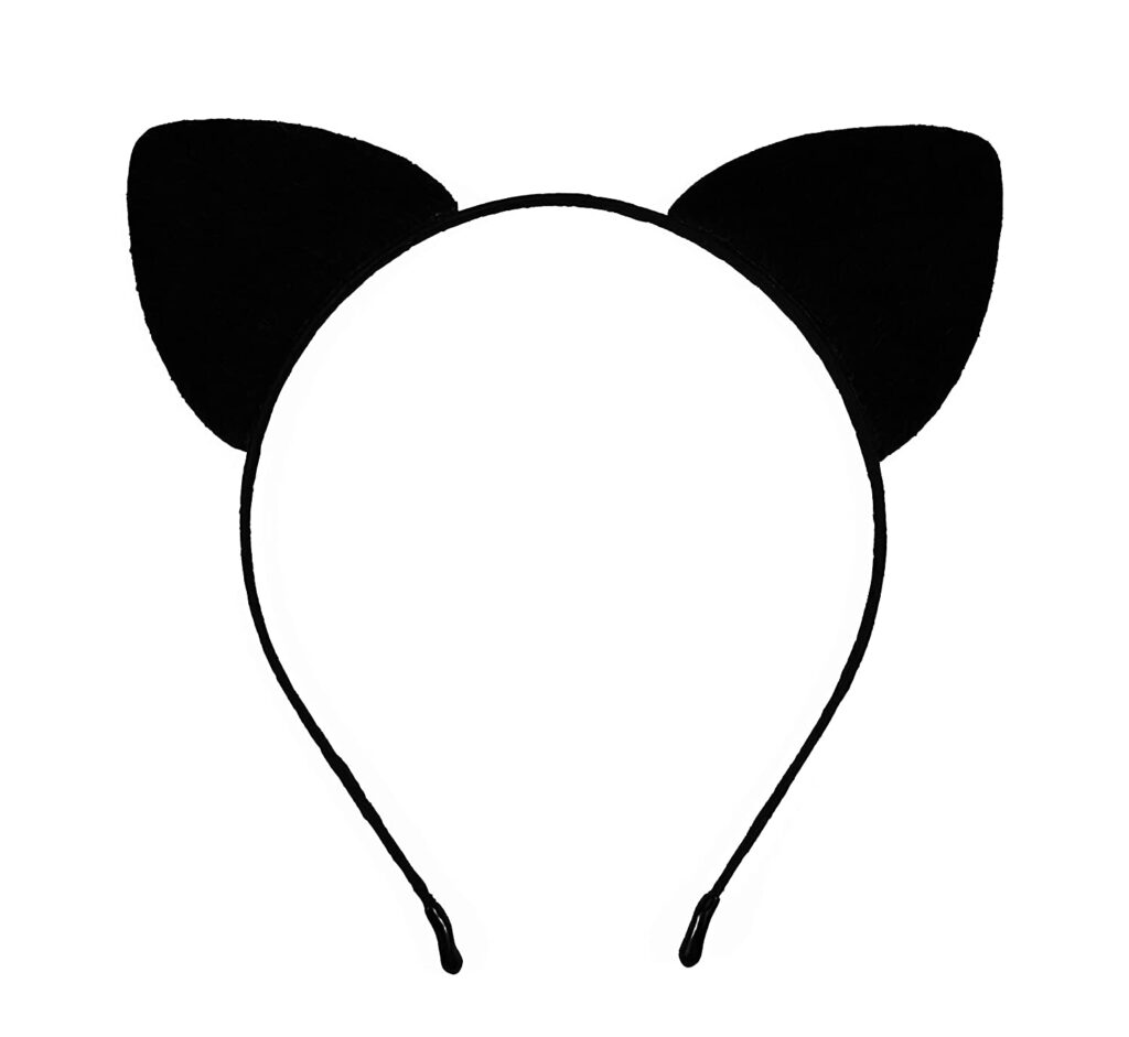 Cat Noir Cosplay Costume