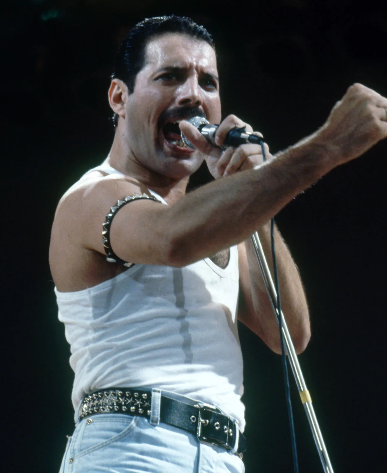 Freddie Mercury Live Aid Costume