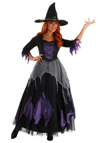 24.) Women's Midnight Purple Witch Costume
