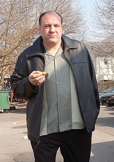 Tony Soprano (The Sopranos) Costume