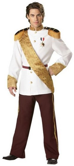 21.) Adult Prince Charming Costume