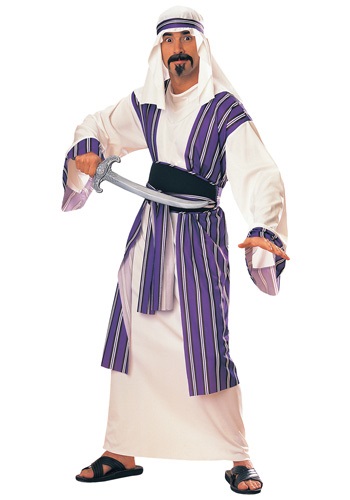 7.) Adult Desert Prince Costume