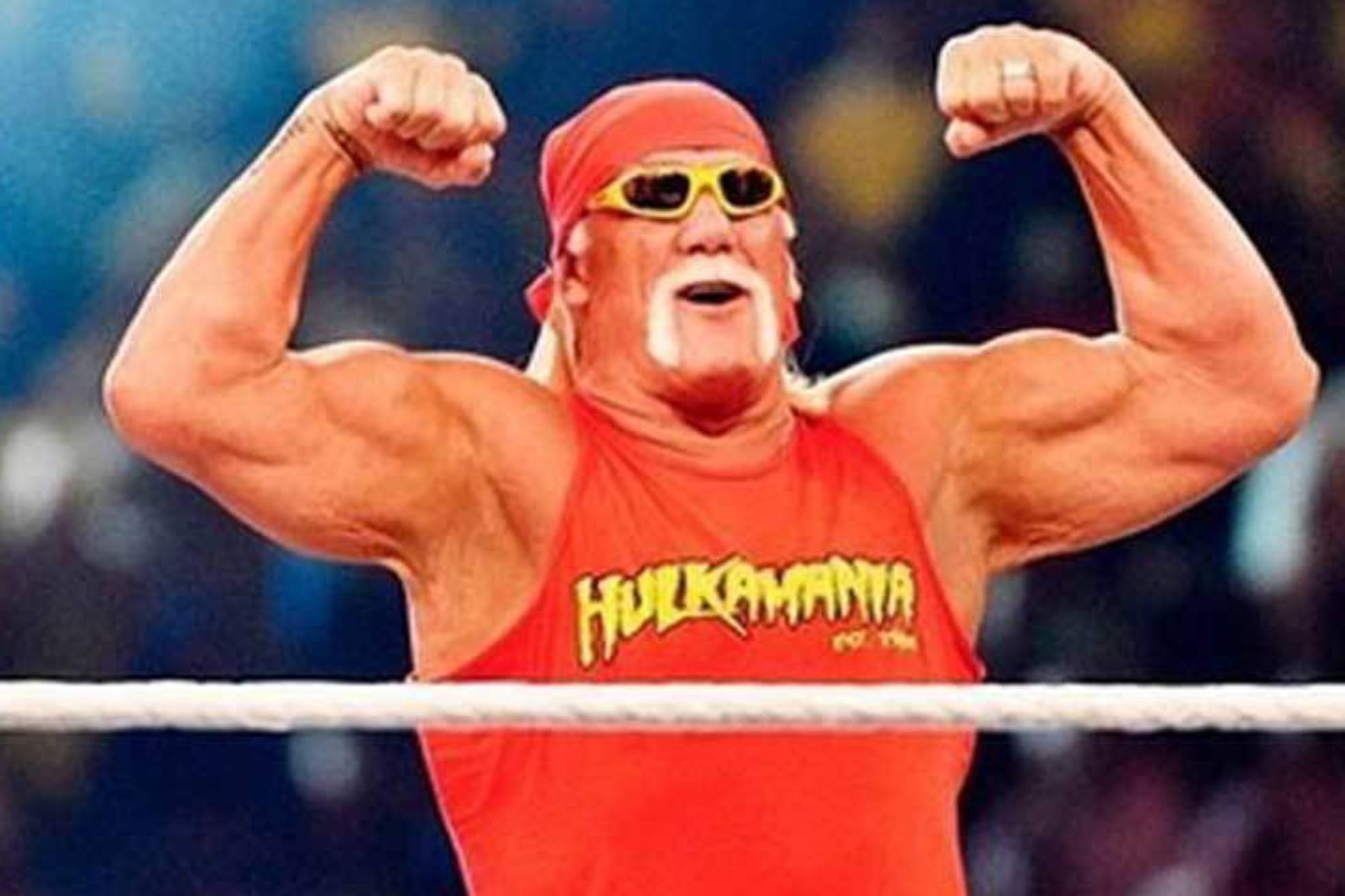 15+ Best Hulk Hogan Costumes For Adults, Kids, and Pets