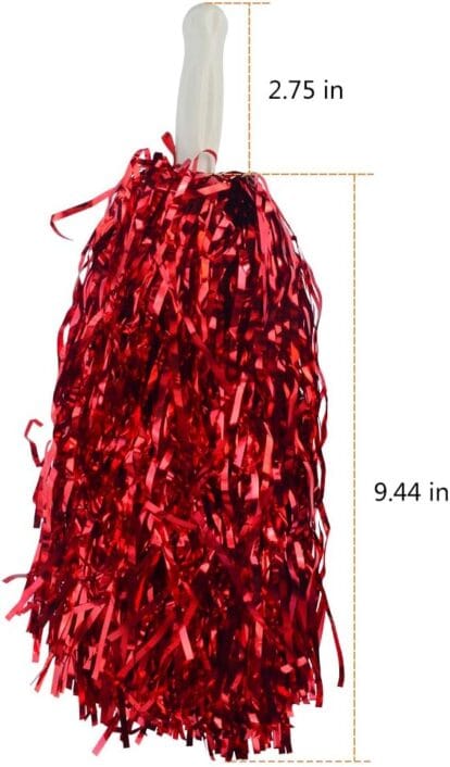 Blue Mountain State Cheerleaders Costume
