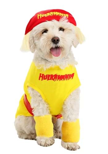 9.) Hulk Hogan Dog Costume