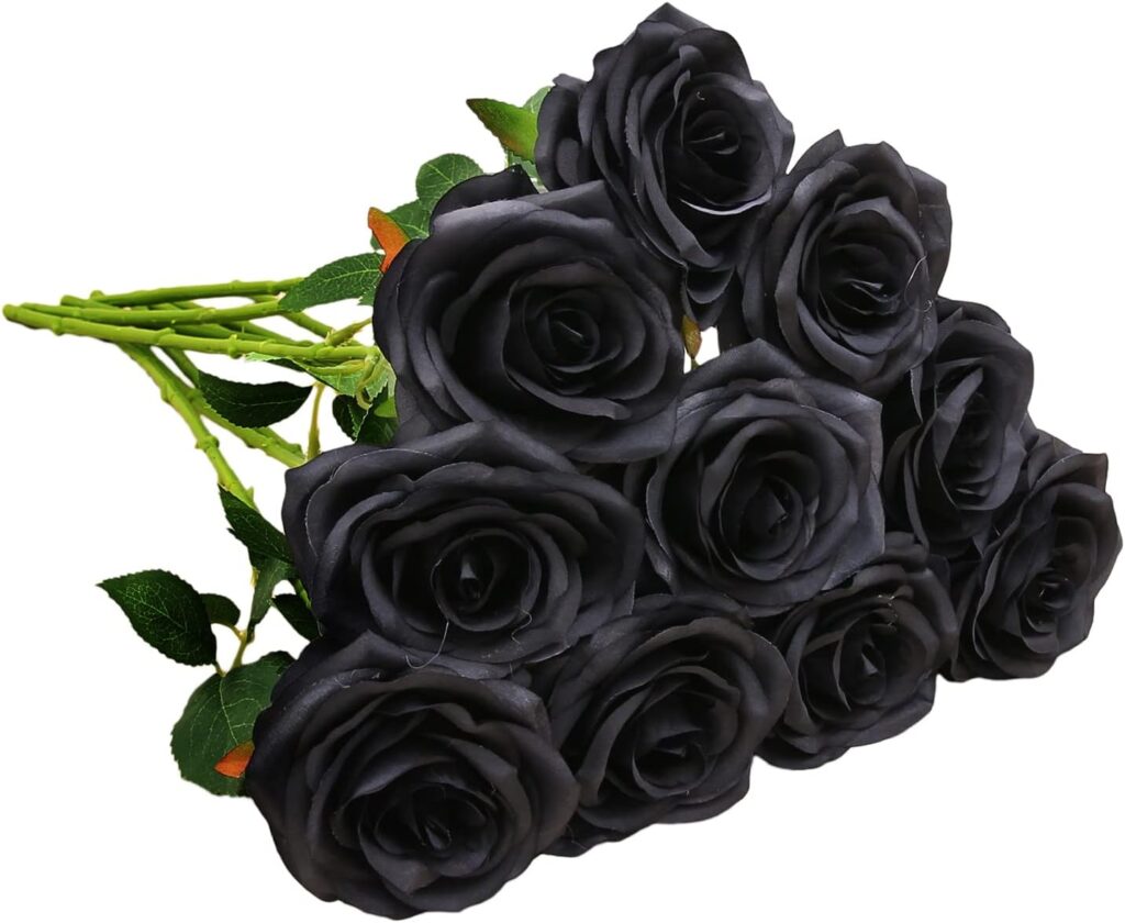 Fake Black Rose Bokeh