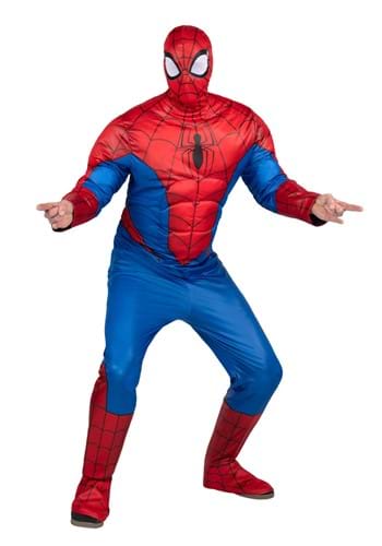 4.) Adult Spider-Man Costume