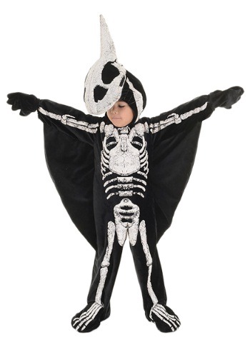 15.) Pterodactyl Fossil Toddler Costume