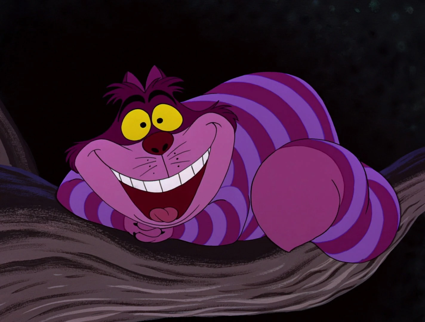 15+ Cheshire Cat Costumes For Adults And Kids