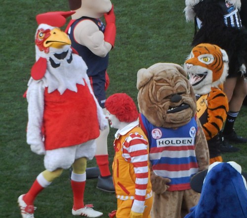 adelaide sanfl rooster bulldog mascots costumes adelaideoval grandfinal northadelaide centraldistricts football clown