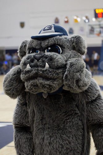 university bulldog georgetown mascot