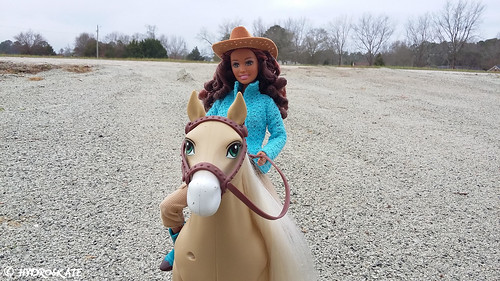 summer horse barbie liv cowgirl mattel scented playscale