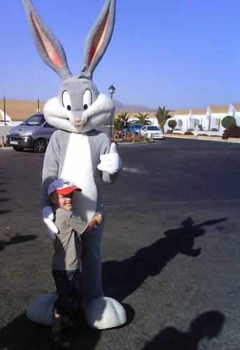 bunny costume bugs