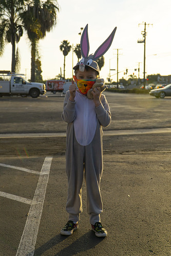 ash bunny rabbit costume bugs mask ears parking lot morning golden light dropoff