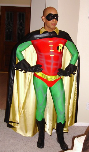 robin wonder costume