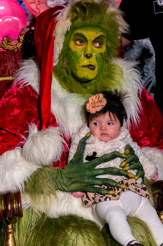 DIY Grinch Costume