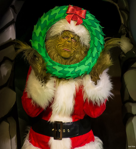 DIY Grinch Costume