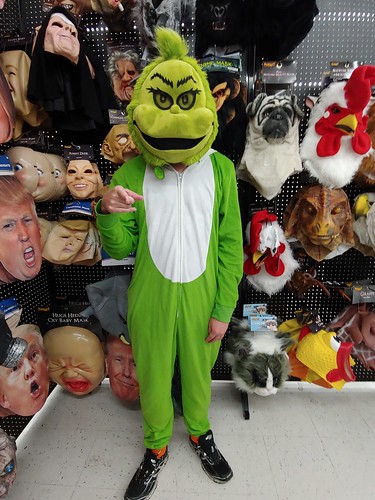 DIY Grinch Costume