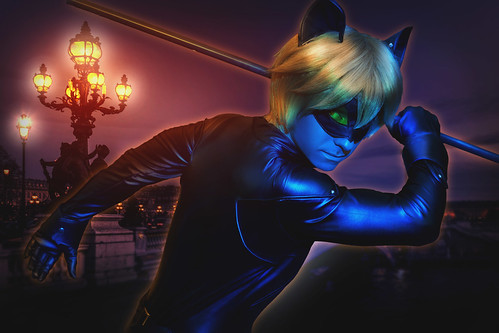 cosplay costume cat noir cosplayer