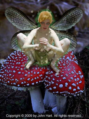 costumes photoshop fairy