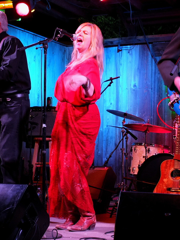 GRAM PARSONS BIRTHDAY 2015 (Photos - Ron Baker)