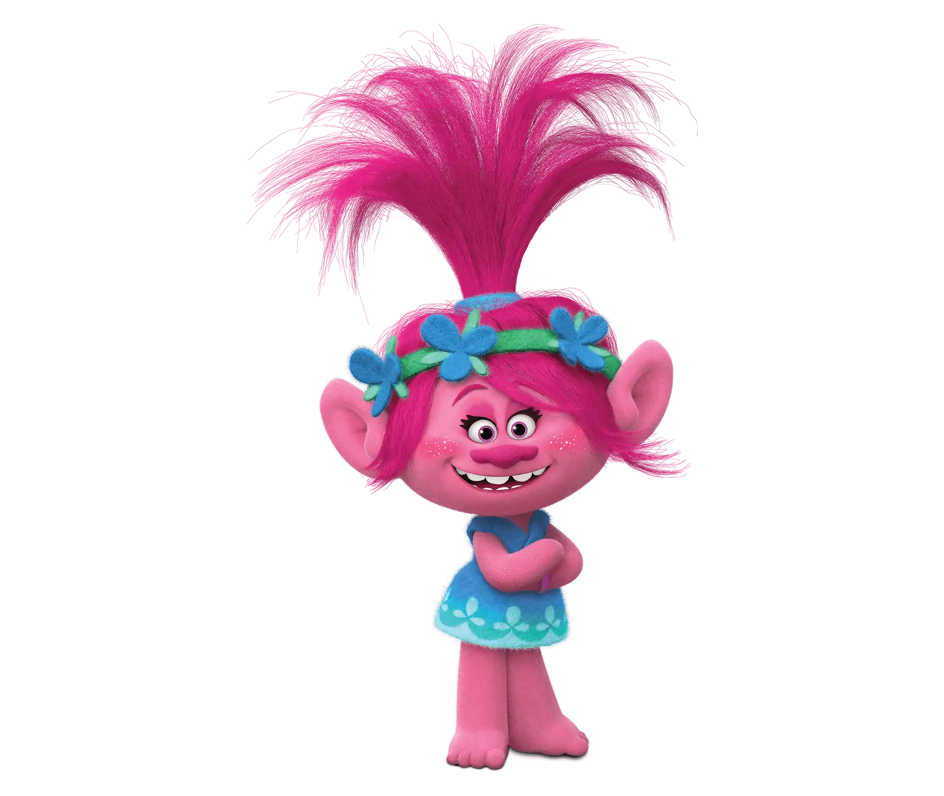 Poppy Costume from Trolls