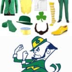 Notre Dame Leprechaun Costume Guide: Recreate the Mascot Look
