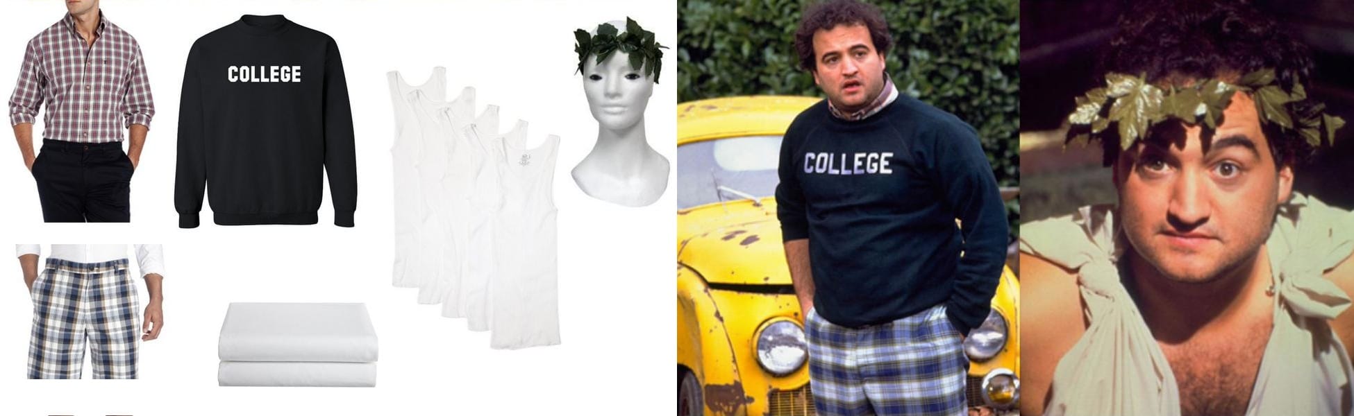 John Bluto Blutarsky Costume Guide