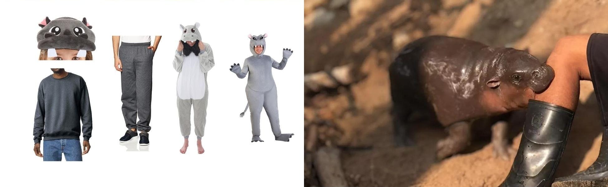 DIY Moo Deng Costume Guide