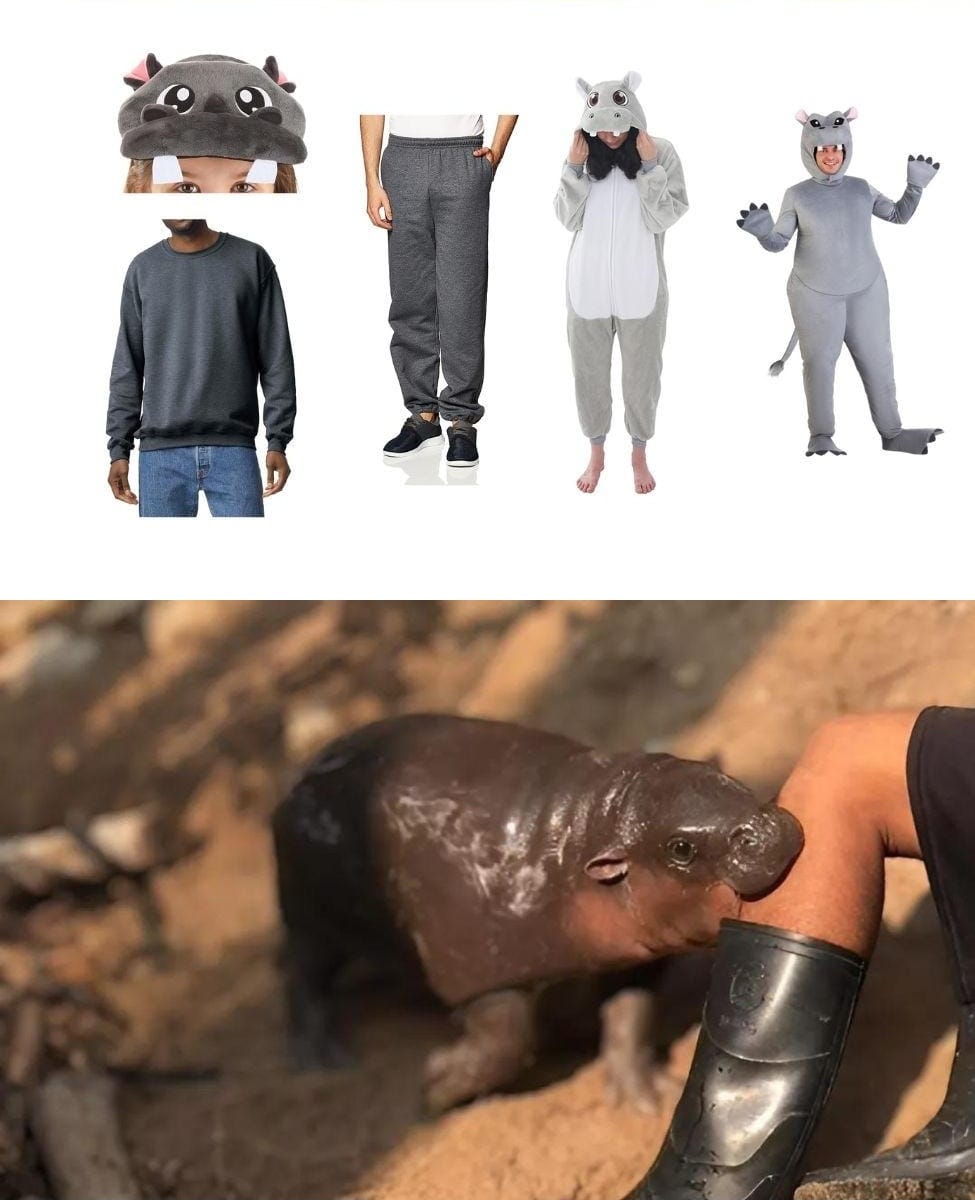 DIY Moo Deng Costume Guide