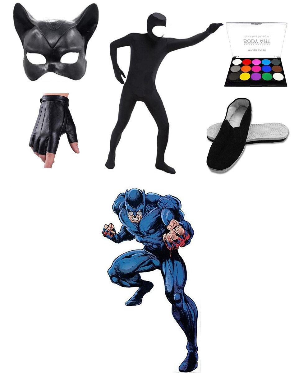 Wildcat DIY Costume Guide
