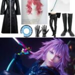 Marluxia Kingdom Hearts Cosplay Guide